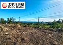 東河鄉-土地，810坪
