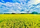 烏日區-土地，672.8坪