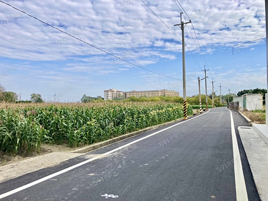 風和日麗環境圖