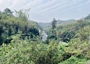頭屋鄉-土地，2776.3坪