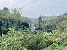 獨家頭屋鄉國道1號6分鐘尖..