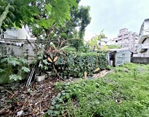 23230市中心花蓮商校稀有臨路方正建地