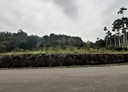 瑞穗鄉-土地，666.8坪