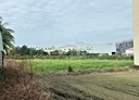西區-土地，1599.3坪