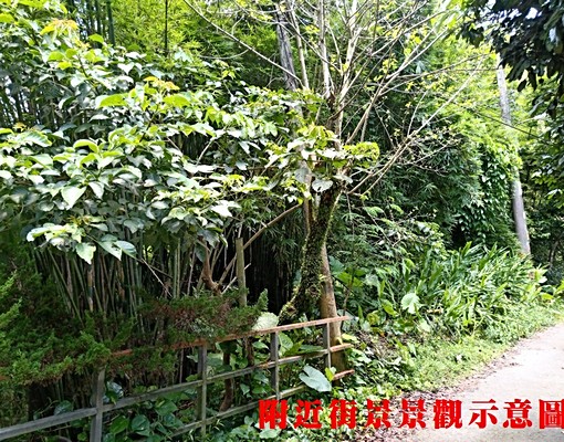 物件圖片