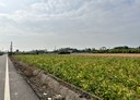 屏東市-土地，533坪