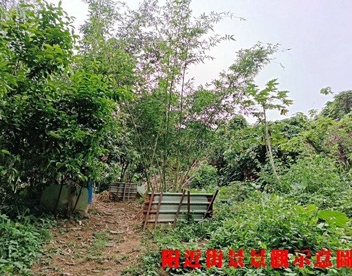 物件圖片