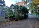 三芝區-大湖段土地，247.8坪
