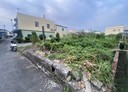 內埔鄉-土地，252坪