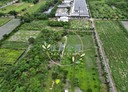壽豐鄉-土地，317.2坪