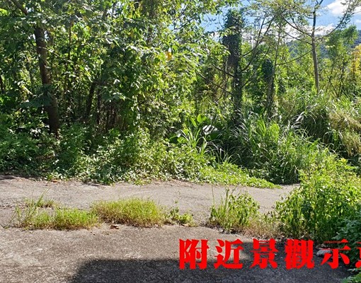 物件圖片
