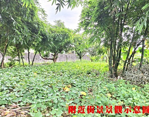 物件圖片