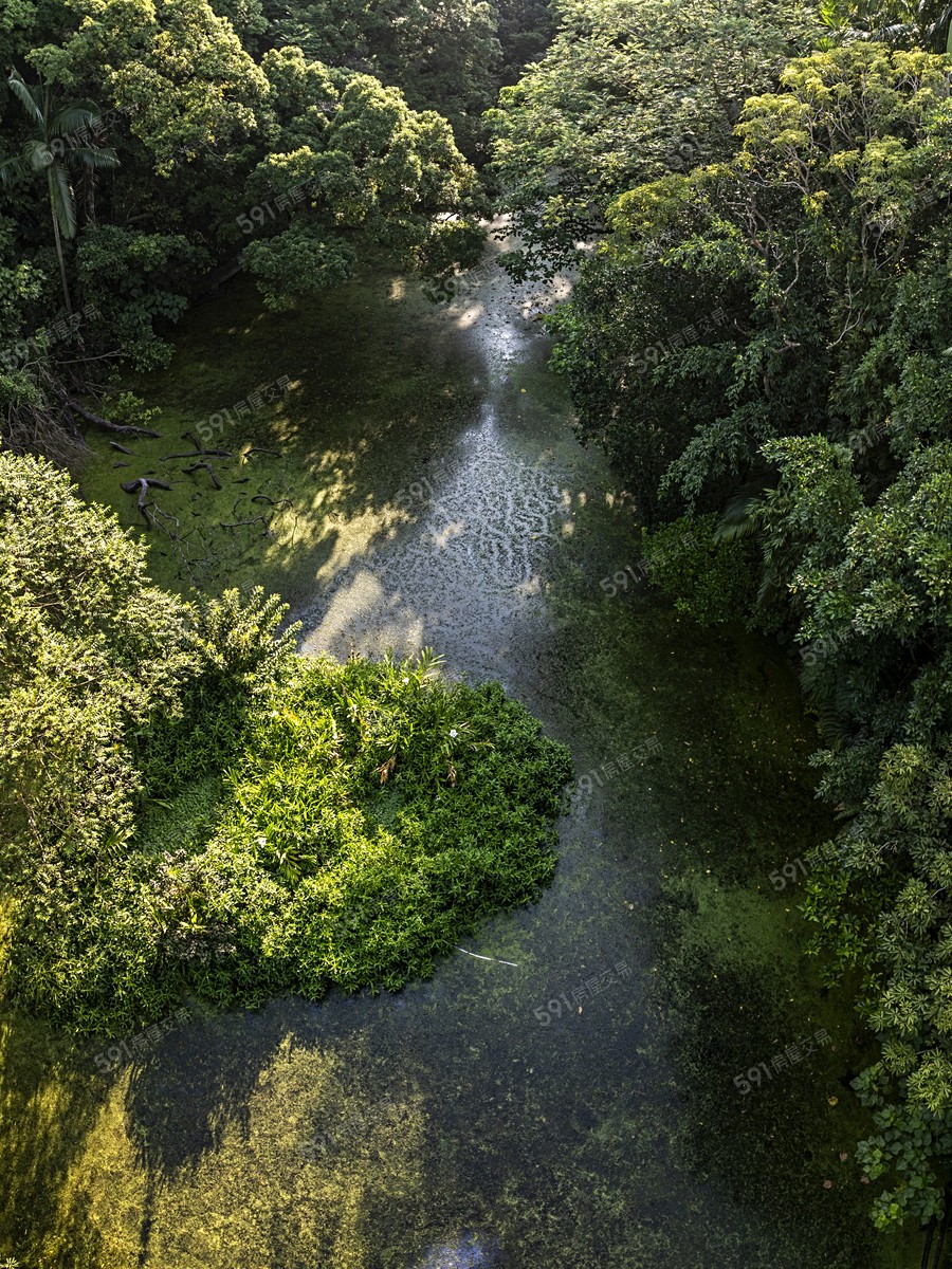 元利四季莊園環境圖