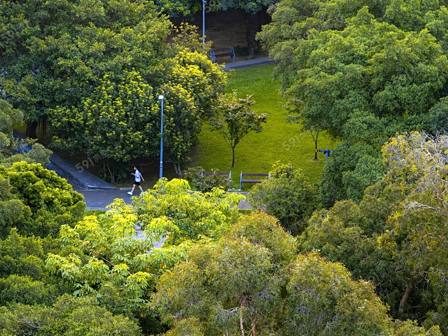 元利四季莊園環境圖