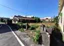 林邊鄉-土地，621坪