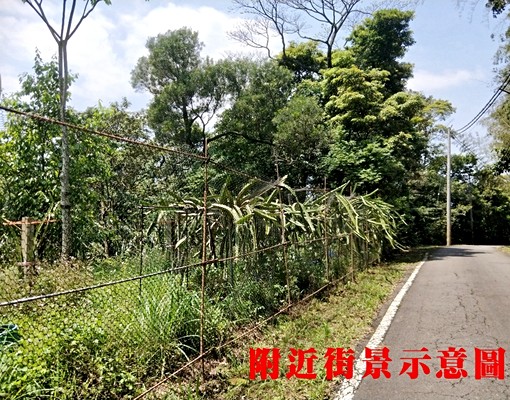 物件圖片