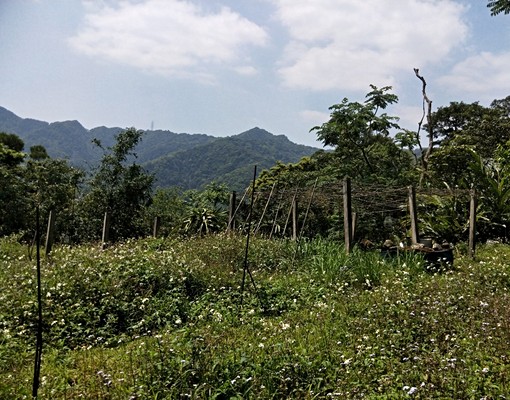 物件圖片