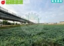 屏東市-土地，357.3坪