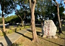 桃園區-保羅街3房2廳，18.9坪
