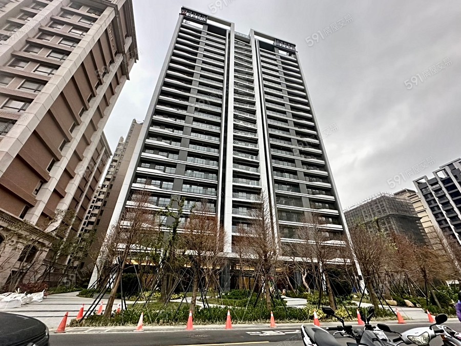 竹風森林實景圖