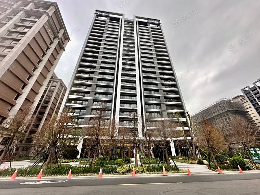 竹風森林實景圖