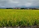 礁溪鄉-玉光一段土地，846.1坪