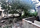虎尾鎮-土地，203坪