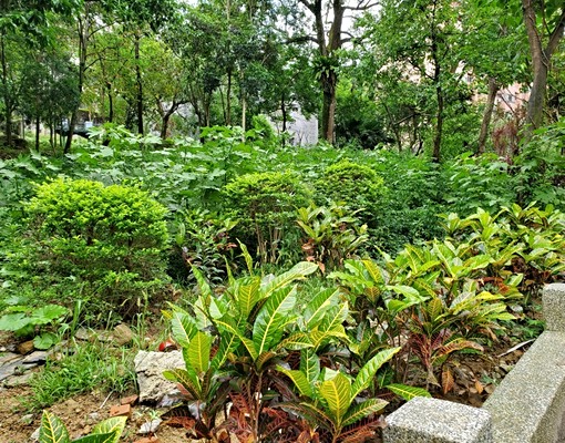 物件圖片