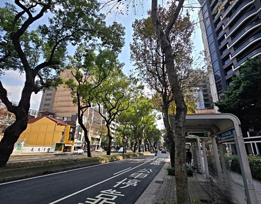 降價東騰界★全新精美裝潢家具電齊全★民權西路站走路2分鐘 - Image 14
