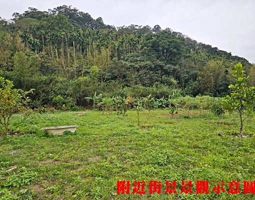 K559三峽有水電臨路土地💖中信劉蕙蘭