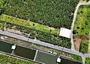 旗山區-東圳巷3房2廳，18.3坪