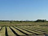 環境圖(10)