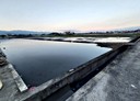 三星鄉-上將路三段土地，794.9坪