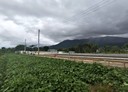 吉安鄉-土地，129.4坪