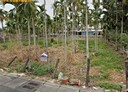 內埔鄉-土地，450.7坪