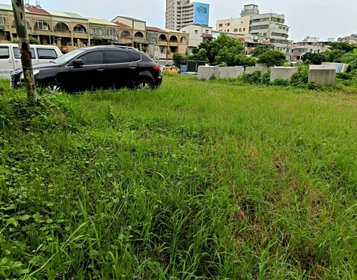 中山小廣場草皮露天車位小農園藝種菜蔬菓攤可 - Image 16