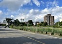 平鎮區-東金段土地，800坪