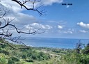 成功鎮-土地，786.5坪
