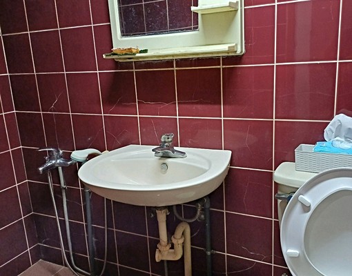 火車站3分鐘”限單身”近巨蛋,近龜山工業區 - Image 3