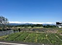 員山鄉-土地，100.5坪