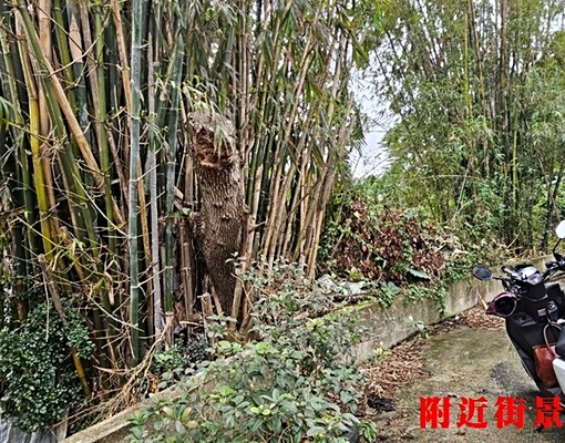 物件圖片