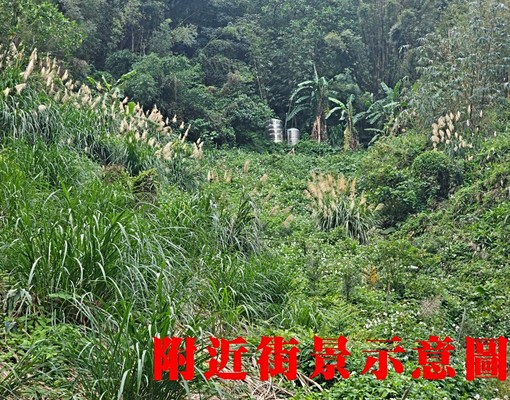 物件圖片