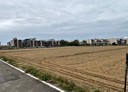 楊梅區-富岡段土地，602.6坪