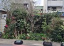 頭份市-長安街土地，55坪