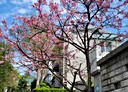 淡水區-奎柔山路5房3廳，102.1坪