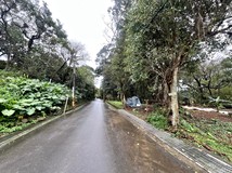 三層段🐝琪琪推近大溪老街雙..