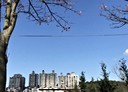 淡水區-水碓1房1廳，15.1坪