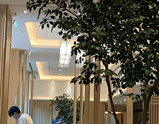 臺灣燈會旁A18高鐵站前IKEA旁2房面中庭（可屋補） - Image 17