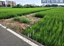 潭子區-土地，790.9坪