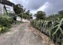寶山鄉-土地，16237坪